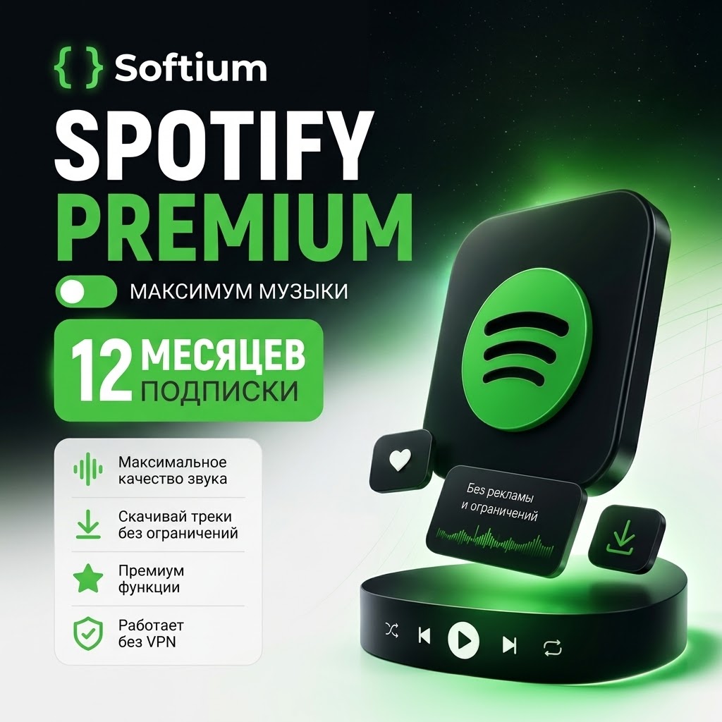 Spotify Standart 12 месяцев